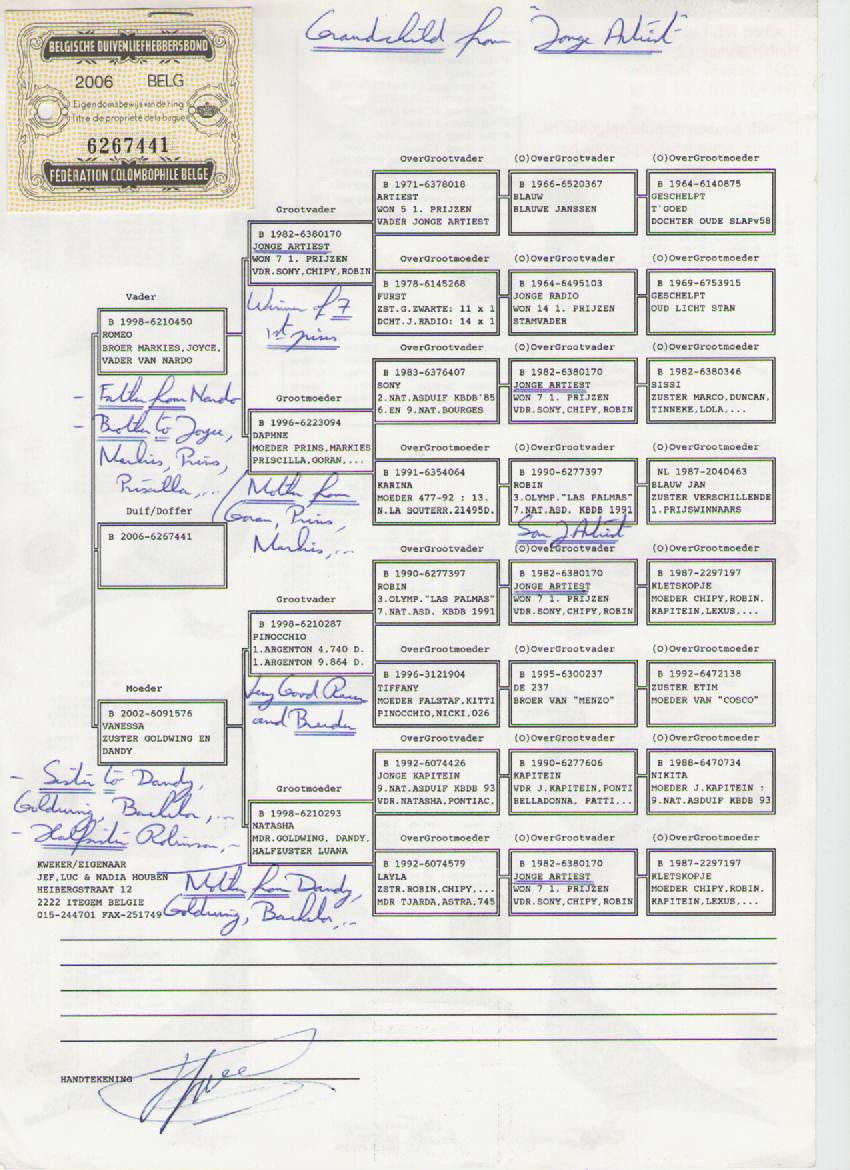 胡本原舍年轻艺术家直孙女(已售河北)