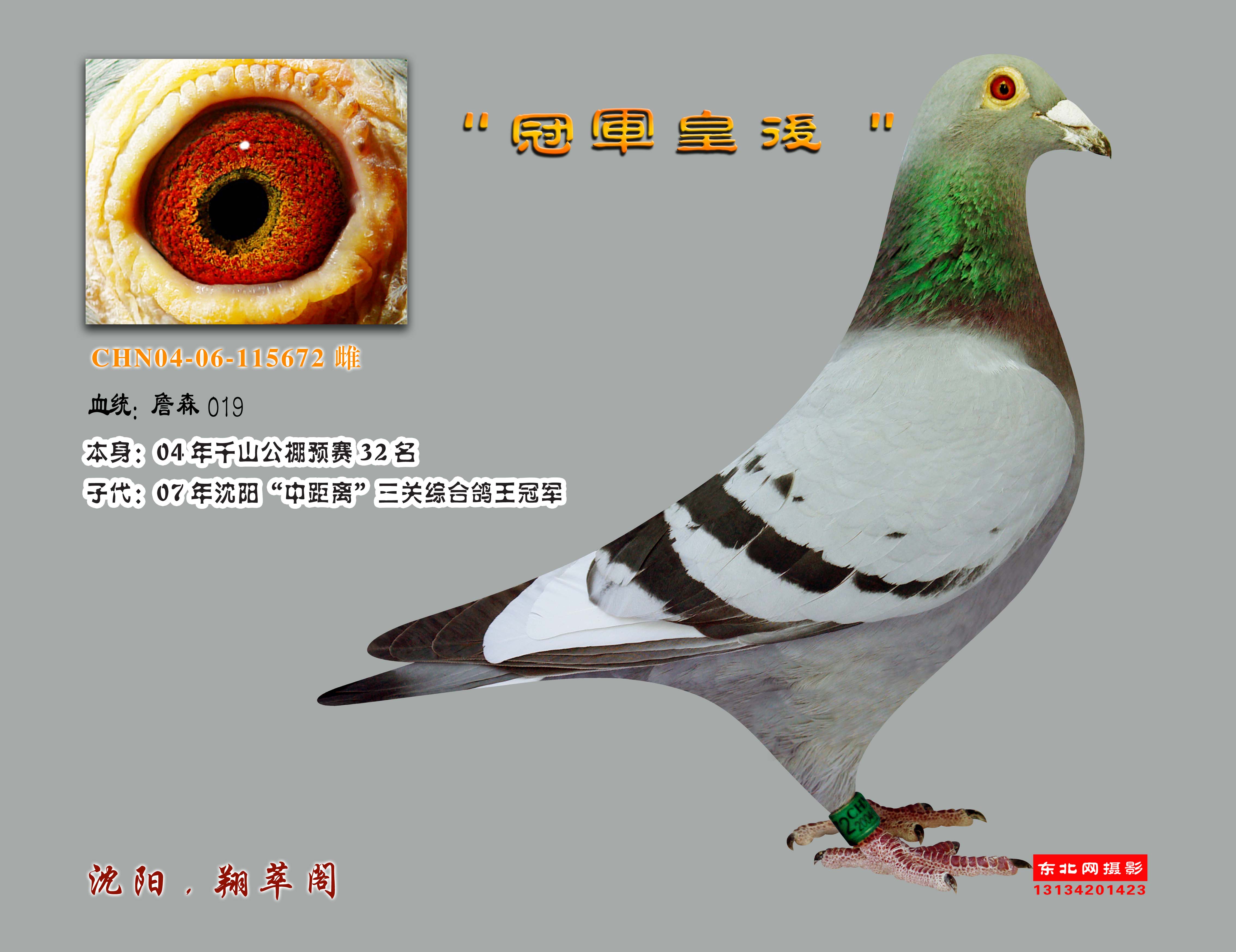 冠军皇后