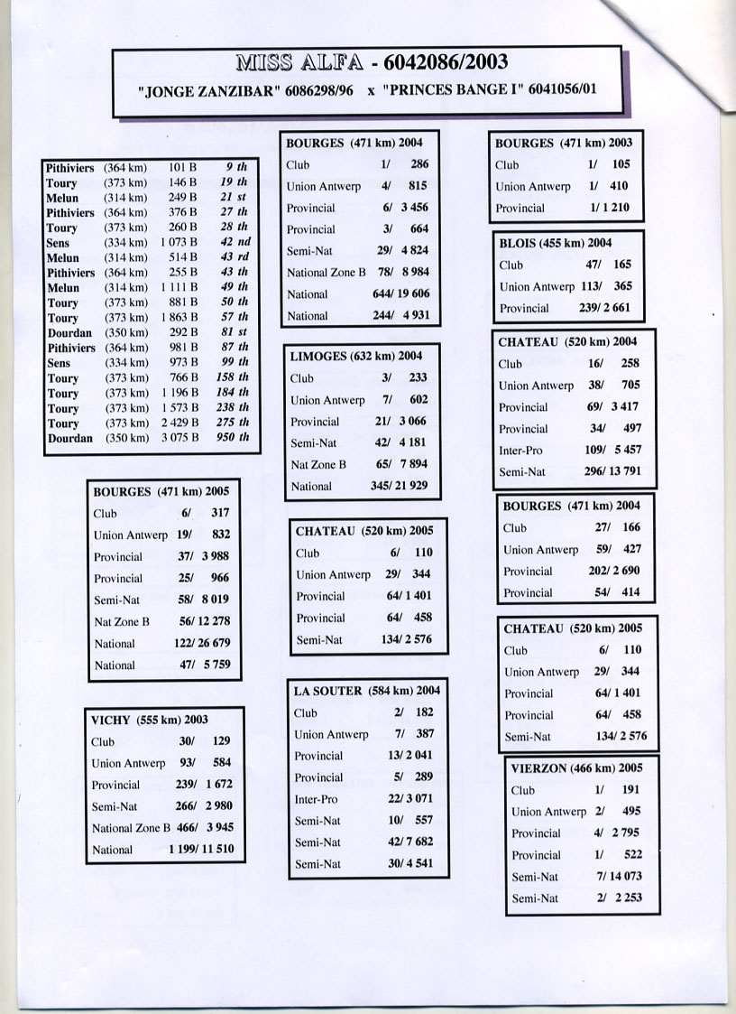 万侯巅峰-阿尔法小姐