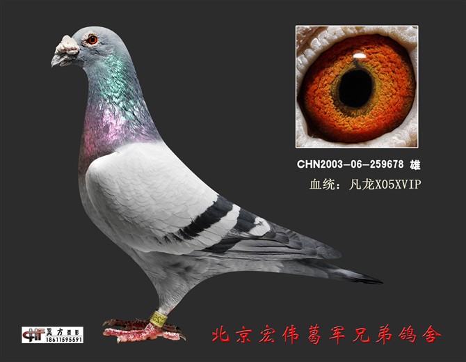 凡龙678