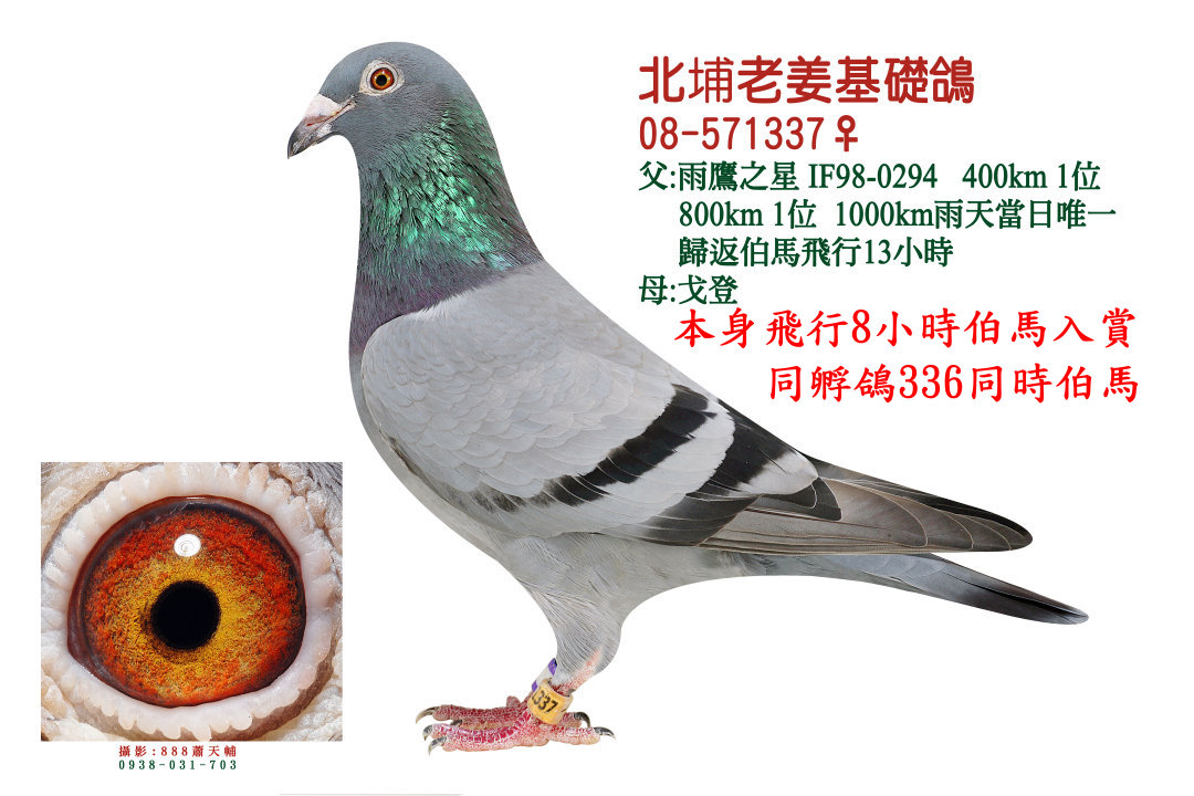 修斯肯冯莱尔337