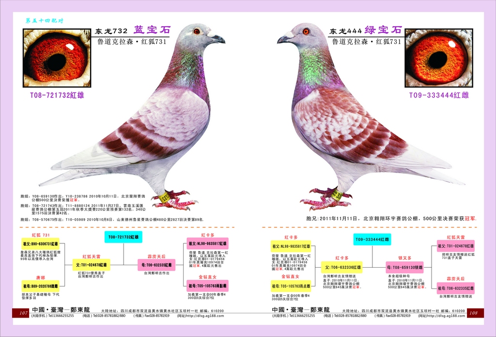 东龙第五十四配对 蓝宝石配绿宝石