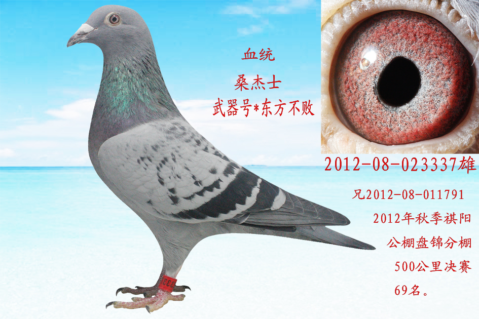 凡瑞特*桑杰士武器号337