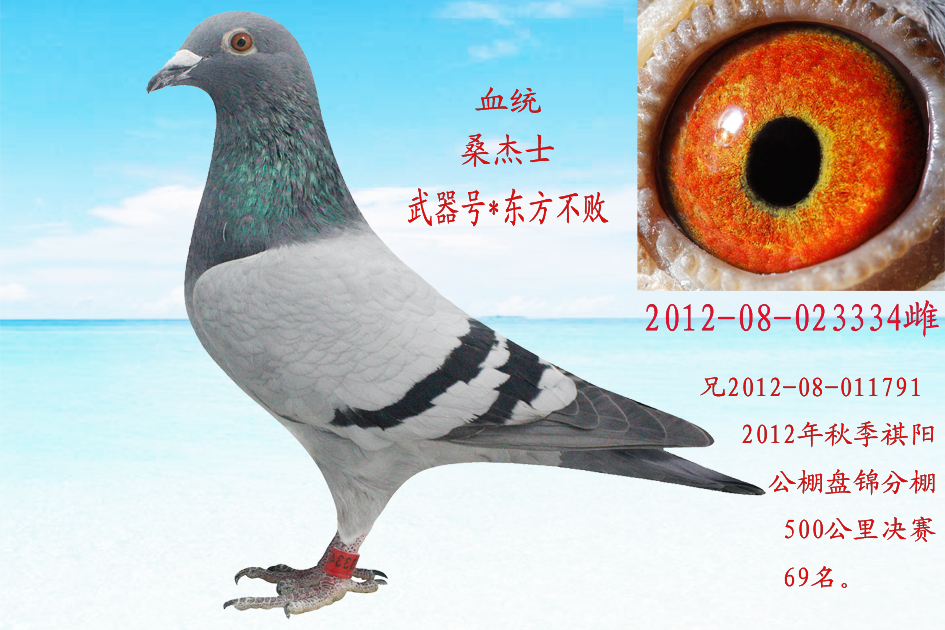 罗尼.凡瑞特*桑杰士武器号334仅供欣赏