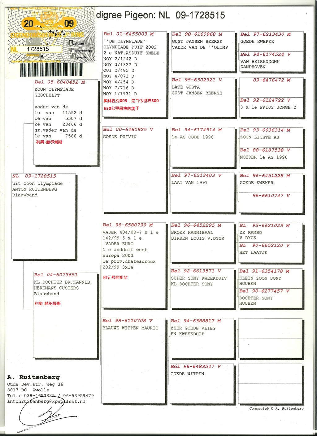 利奥515(003直孙)