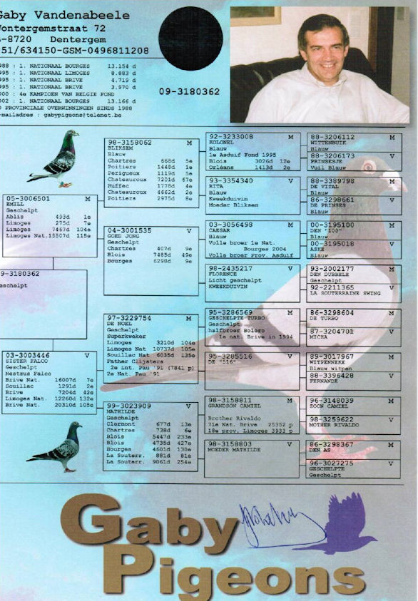 盖比原舍闪电号真孙(已售)