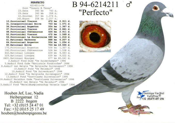 胡本家族原舍种鸽扎拉