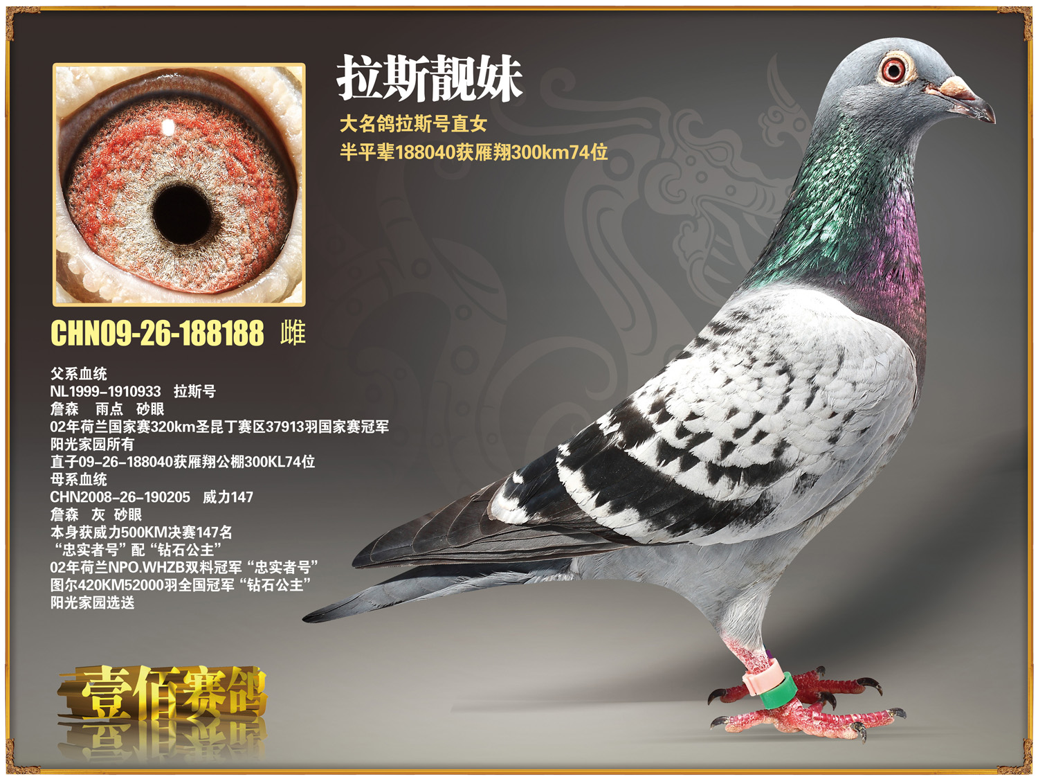 詹森200