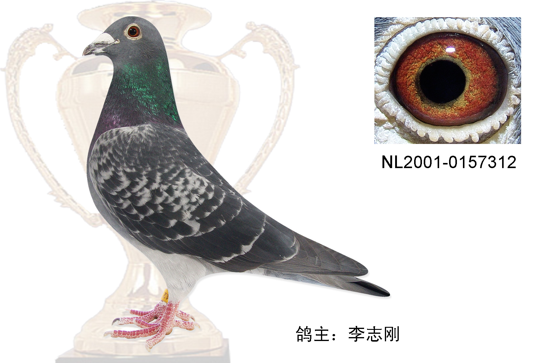 父亲-安东万德维根"