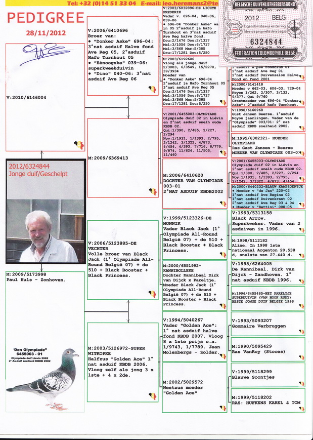 利奥.贺尔曼斯"奥林匹克003"血系