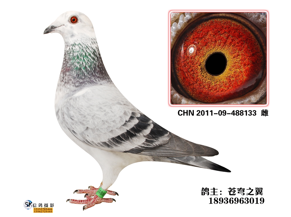 兆尊馆原舍(兆尊小苍白直女)