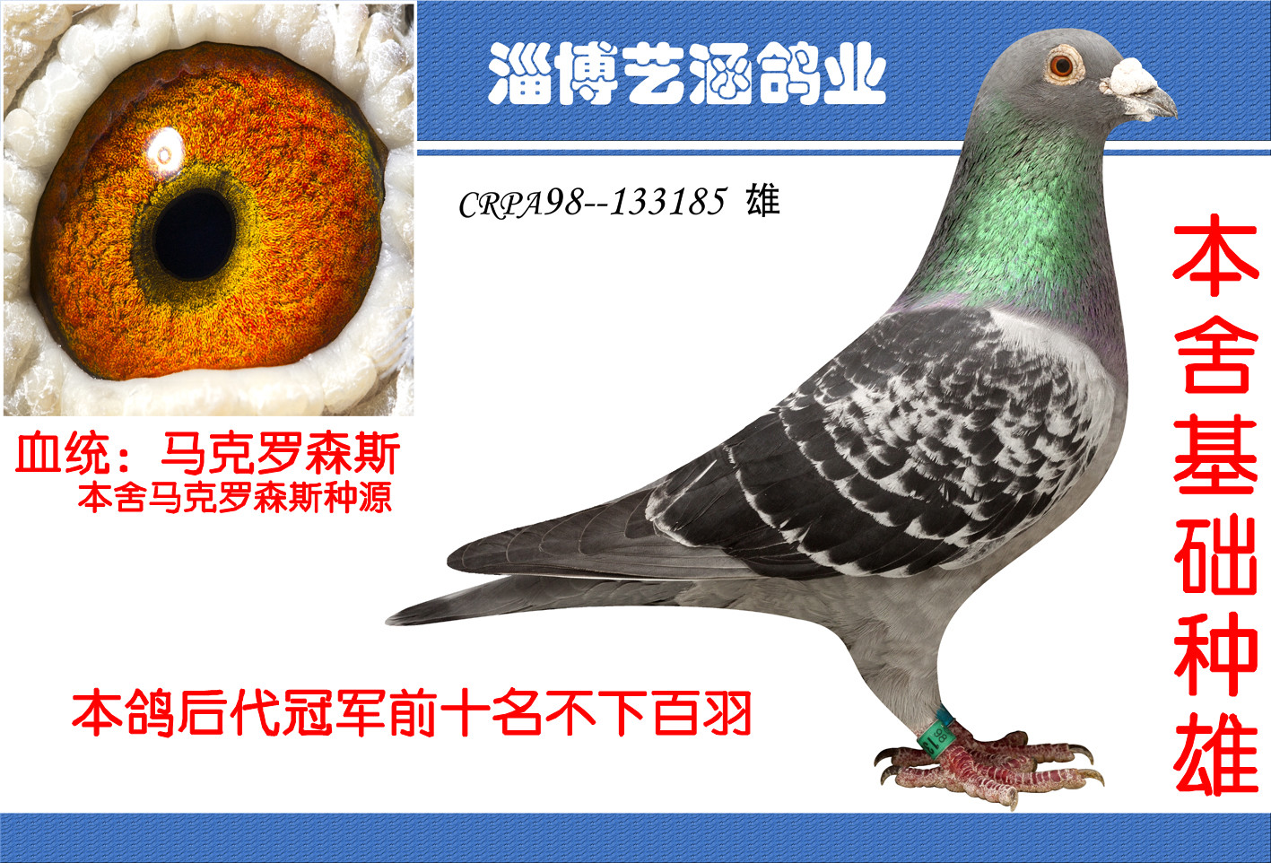 马克帝王