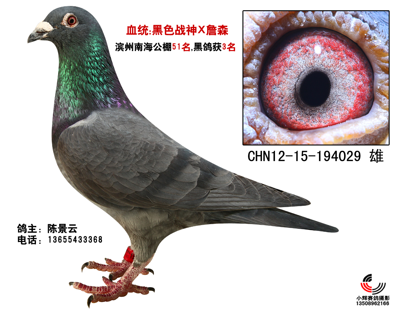 黑罗刚 公棚51名