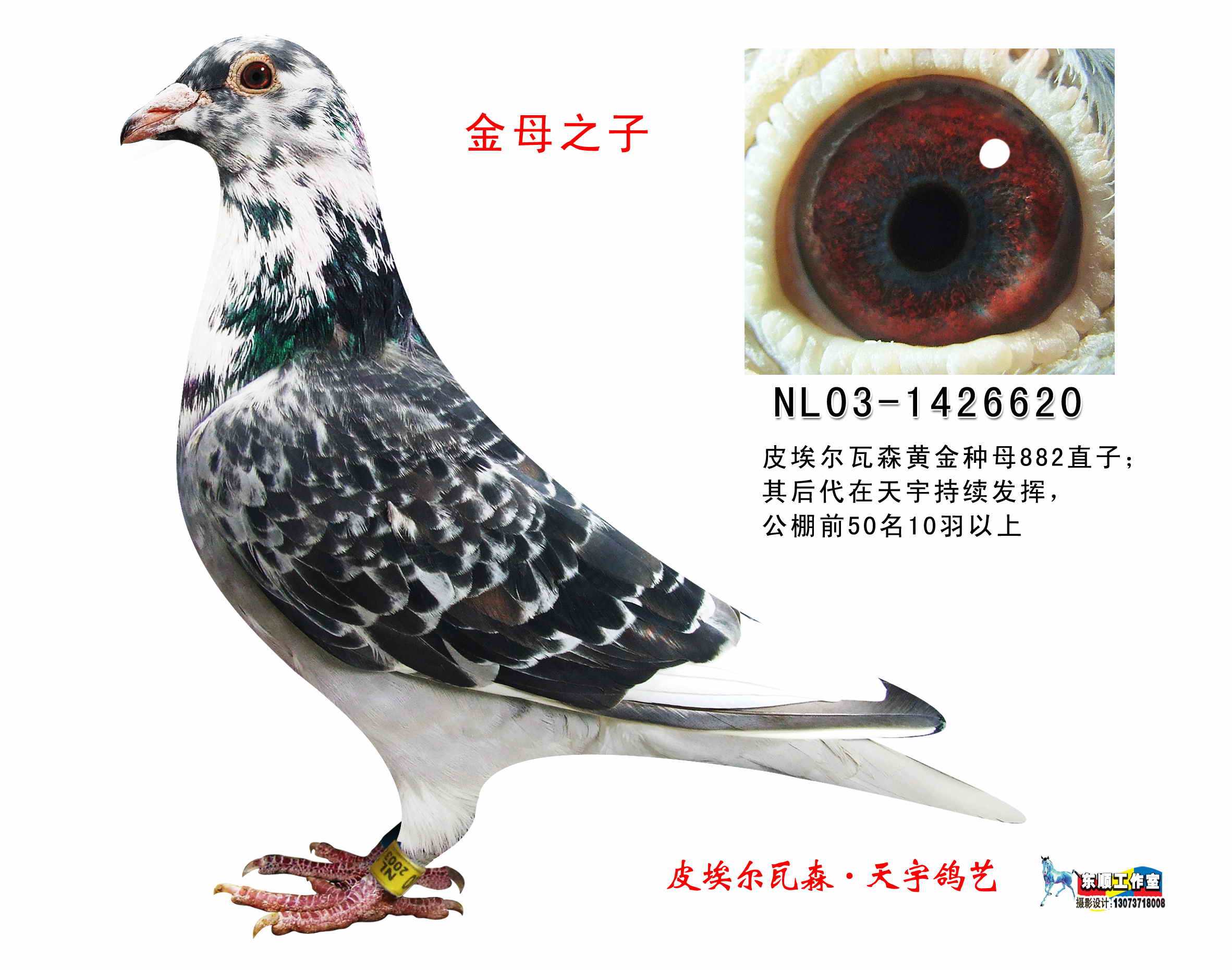 血统书