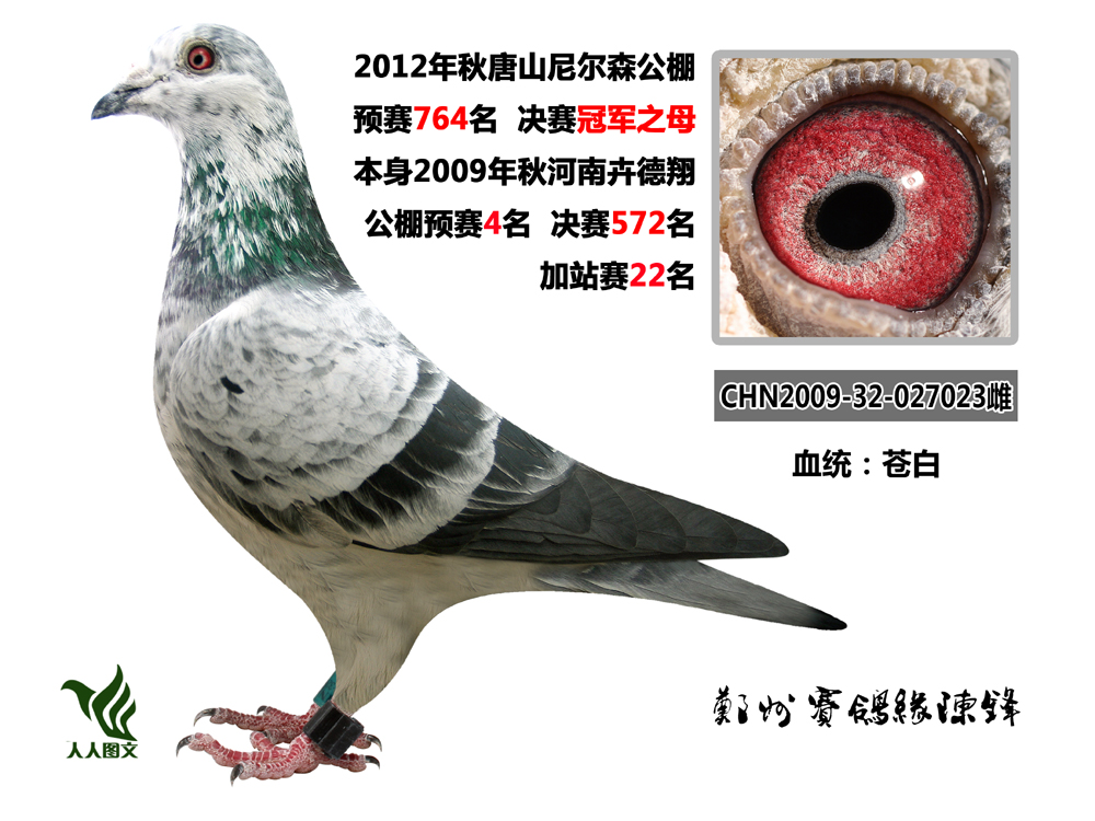 尼尔森决赛冠军之母