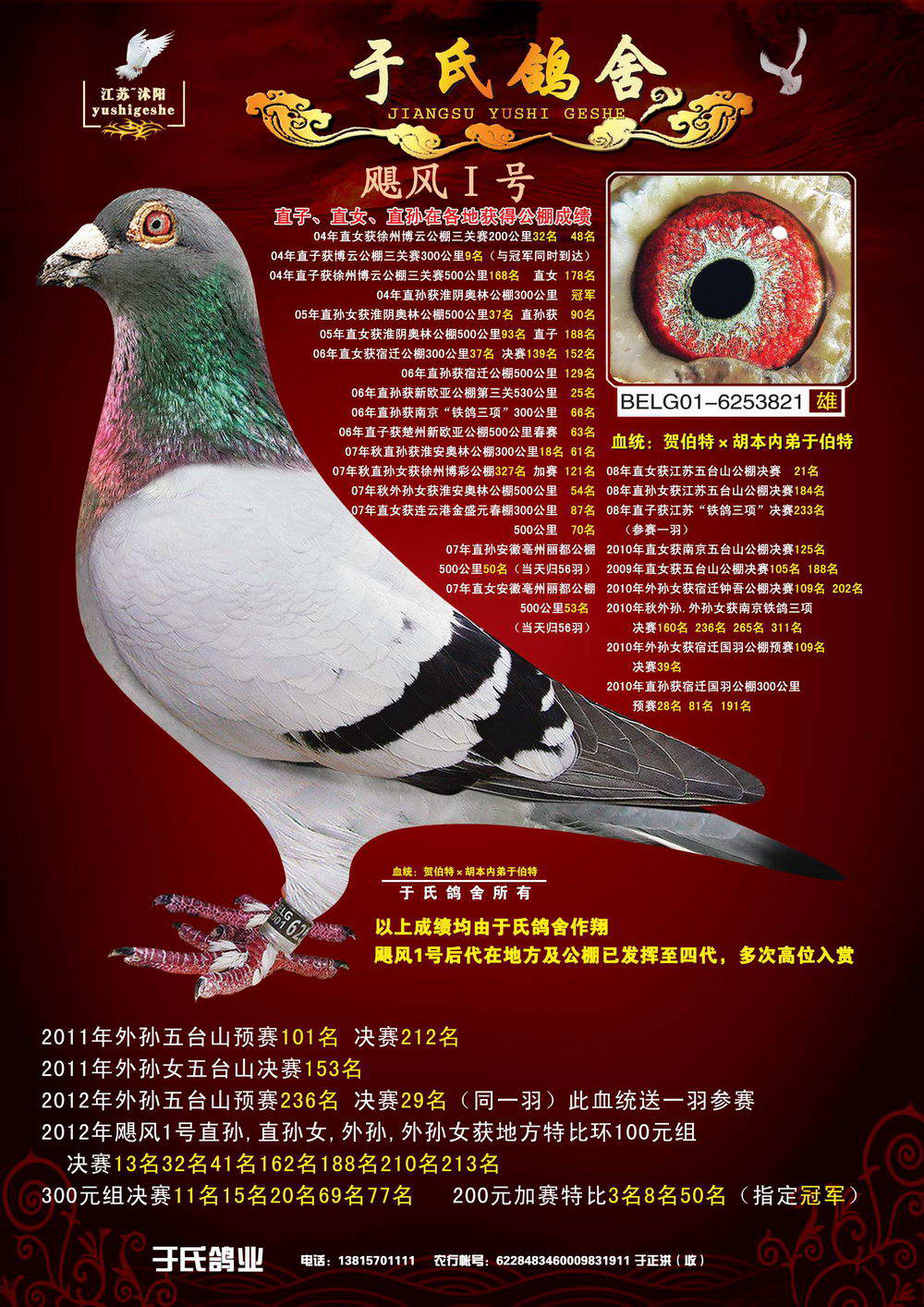 飓风1号_江苏于氏鸽业_ ag188.com爱鸽商城_中国信鸽信息网