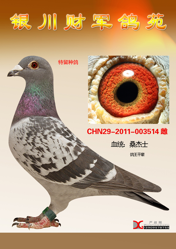 桑杰士