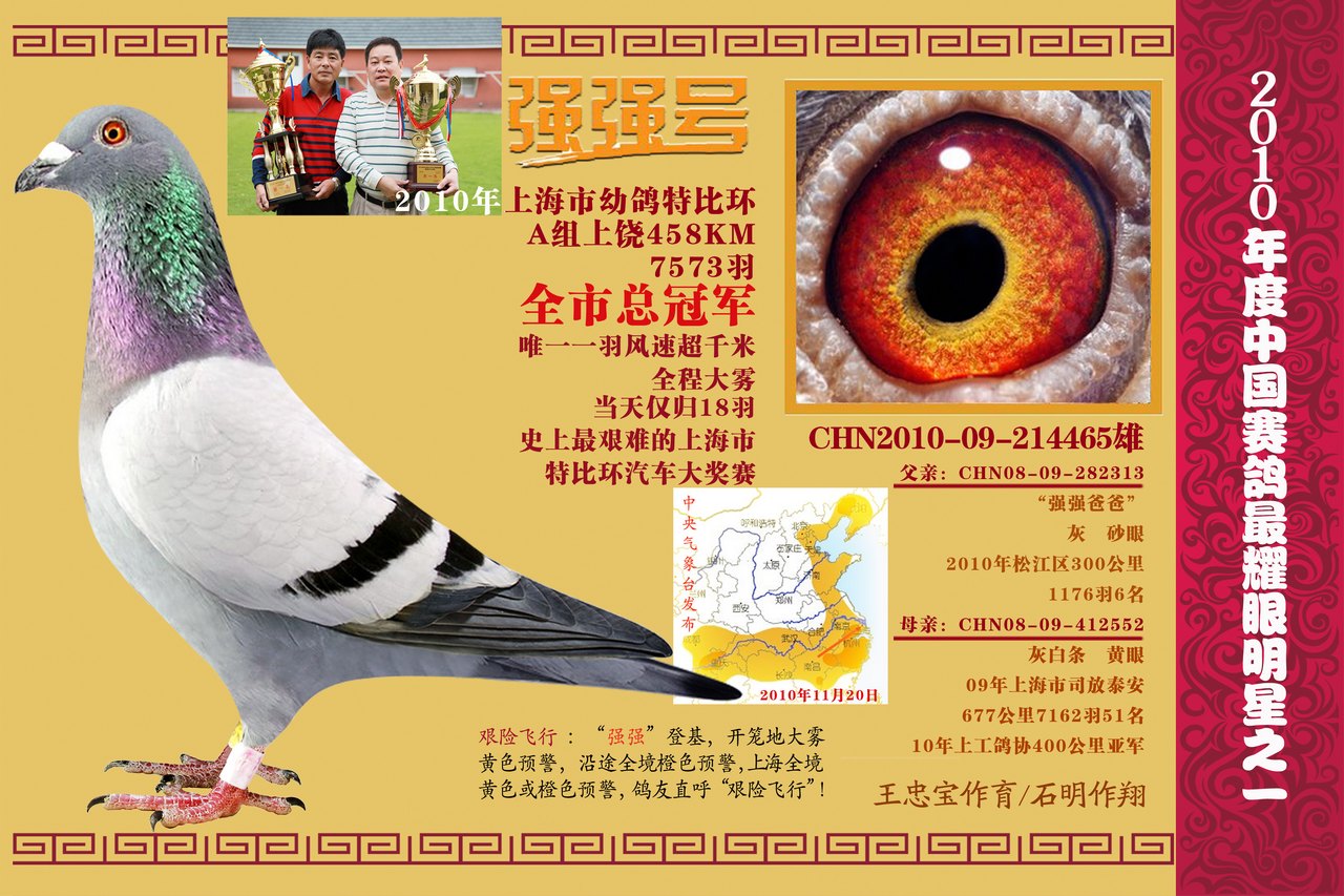 13配对图集--封2(强爸正照)_百家讲坛联合鸽舍_ ag188.