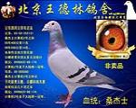 非卖品