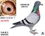铭翔公棚决赛206名