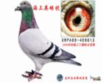 海上英雄号