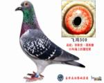 休斯肯.冯莱尔