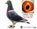 休斯肯.冯莱尔