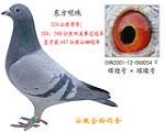 勃默德东方明珠   已售