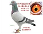 西安威力决赛41名