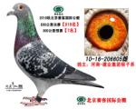 北京赛客公棚预赛7名