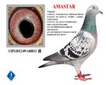AMASTAR  亚军女儿