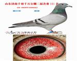 2009年山東千羽千萬公棚決賽161名