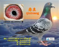 荣安家族季军父亲