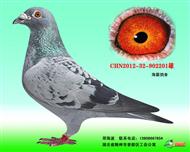 复仇之父2201(己售合肥)