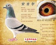 桑杰士052（罗尼·凡瑞特）