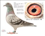 辽宁省昌图县天翔公棚预赛7名.决赛53名