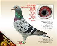 【前進女郎】“无环号”外孙女！