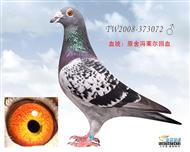 回血 修斯肯·冯莱尔