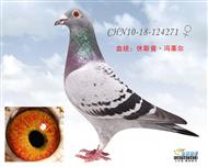 修斯肯·冯莱尔