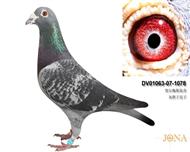 贺尔梅斯原舍灰胖子直子