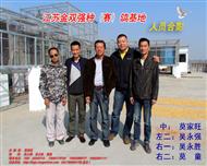 江苏金双强种（赛）鸽基地