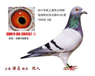 骠马4157