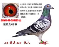 骠马4195