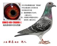 骠马6608