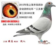 骠马2934