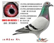 骠马2925