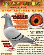 “双冠女皇175”