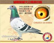 湖南潇湘大众公棚亚军