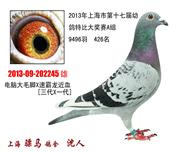 骠马2245