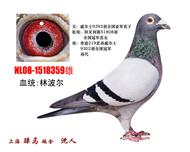 骠马8359